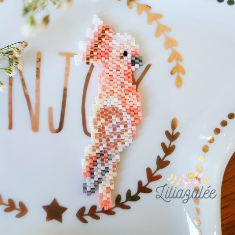 IMG_20180601_180654_692