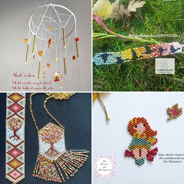 44858272_2134048020177663_4248072601089343488_n